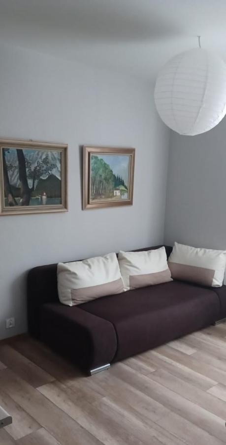Apartamenty W Starym Kinie Swieradow-Zdroj Exterior photo